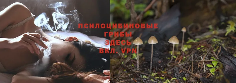 Псилоцибиновые грибы MAGIC MUSHROOMS  Ивдель 